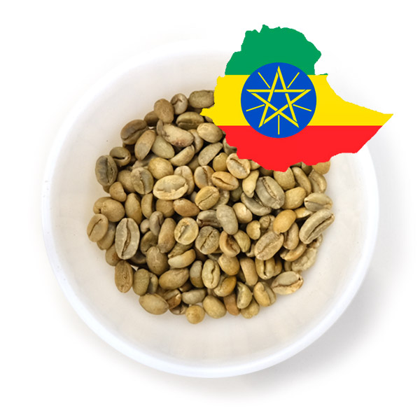 Зелёный кофе оптом из Эфиопии