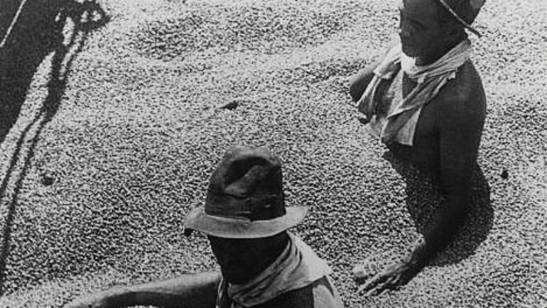 90 лет назад в поисках спасения Бразилия сожгла миллиарды фунтов кофе